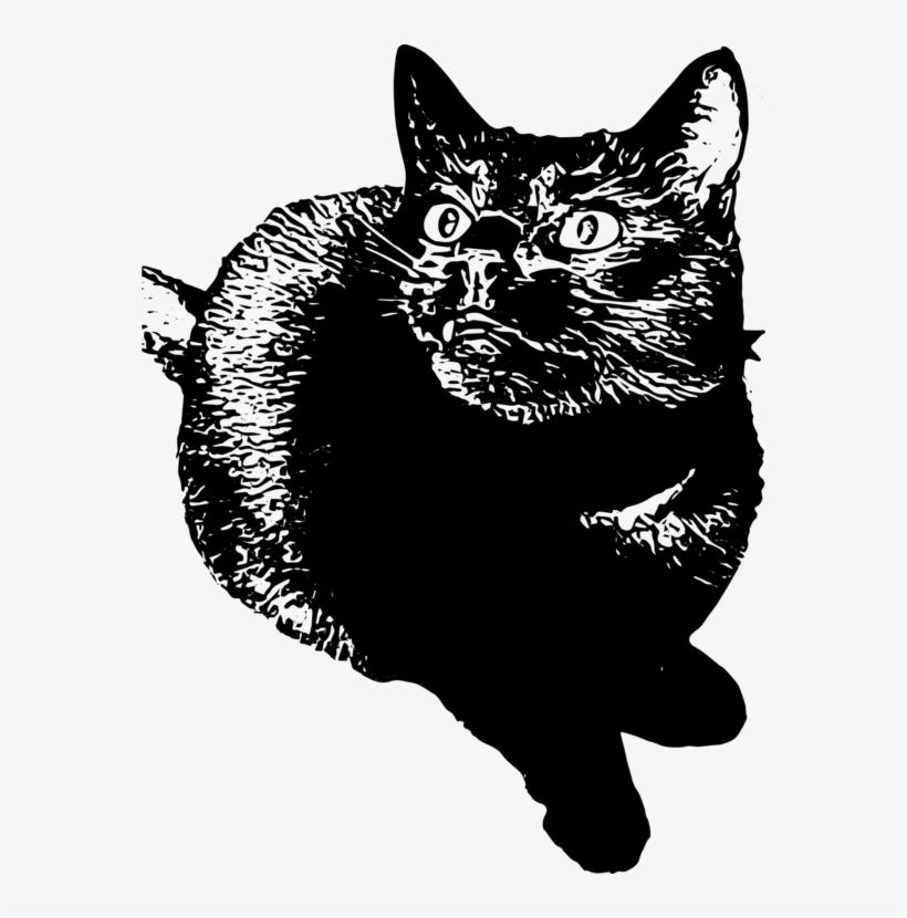 Domestic Short-haired Cat Whiskers Wildcat Tail - Cat, transparent png