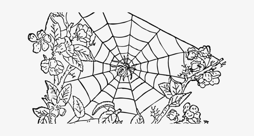 Angiekat - Spider Web Clip Art, transparent png