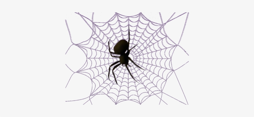 White Spider Web Png Download - Teia De Aranha Png, transparent png