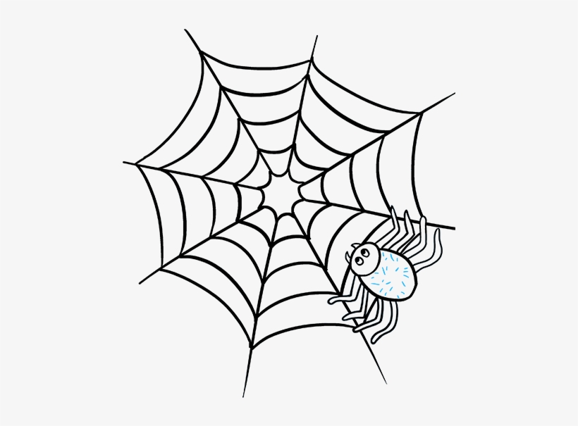 Png Download Spider Skill - Spider Web, transparent png