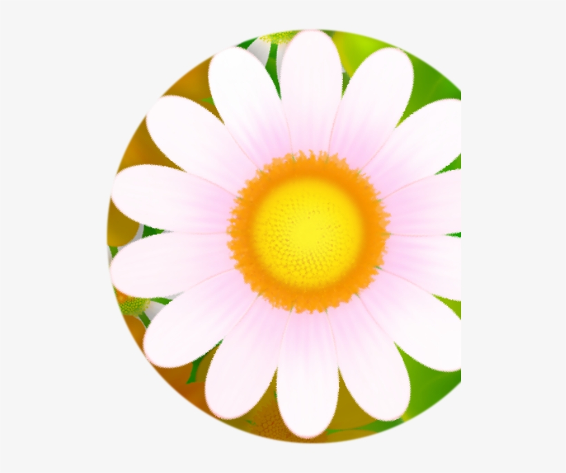 Flower From Spritesheet 1 271 Kb - Rendering, transparent png