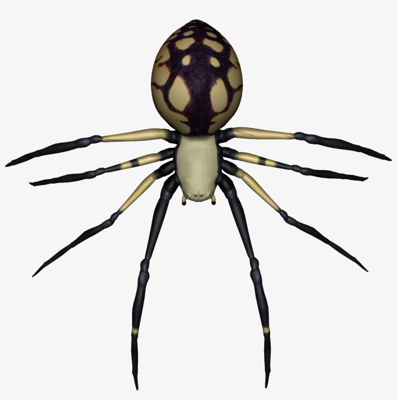Spider Png Image - Transparent Spider Png, transparent png