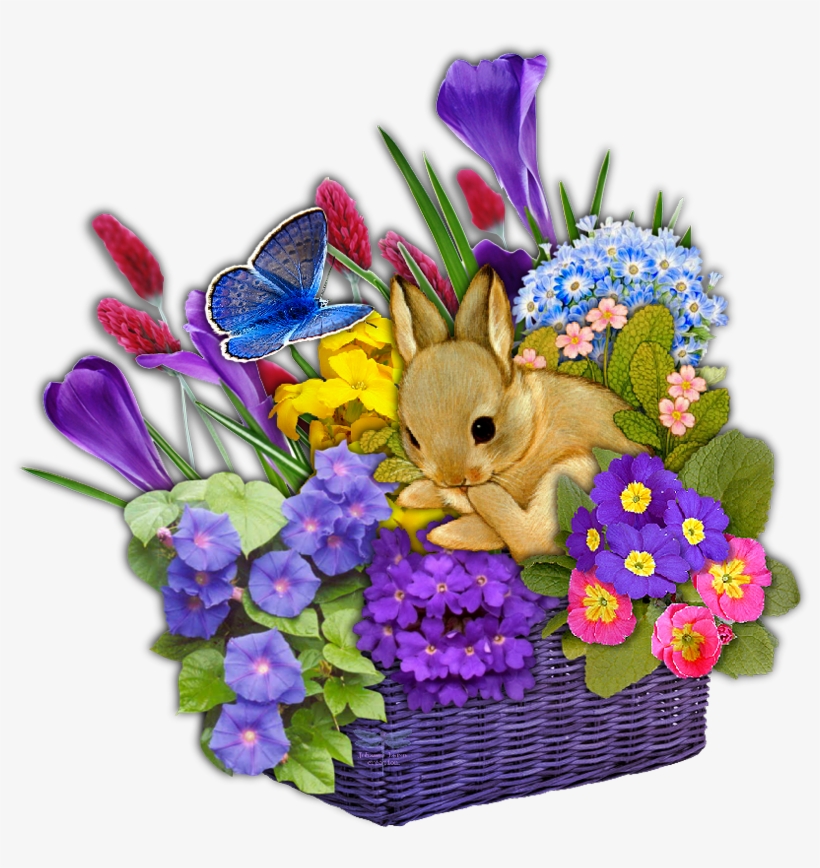 Picnic Basket Png, Vectors, Psd, And Clipart For Free - 3 Pendants May You Always Have A Shell In Your Pocket, transparent png