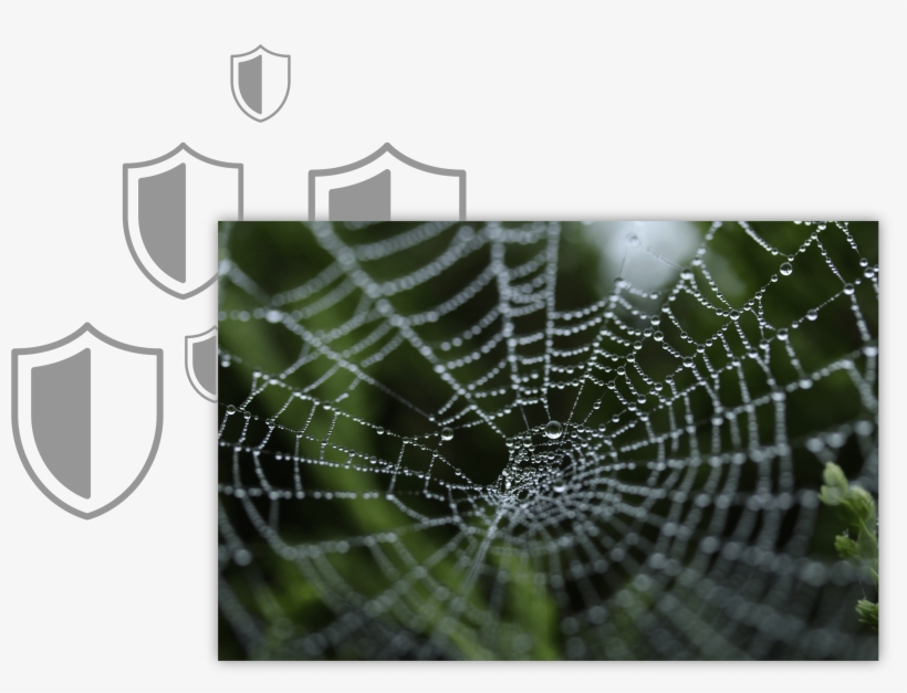 Blue Team - Natural Path: An Introduction To Natural Health For, transparent png