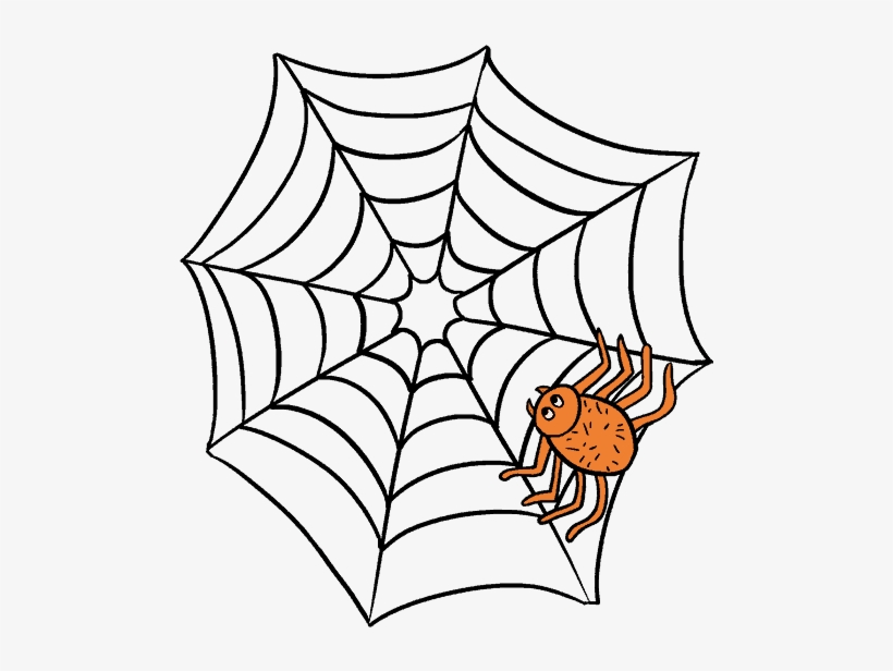 Spiders Drawing Hand Drawn Clipart - Spider Web Graphic Organizer, transparent png