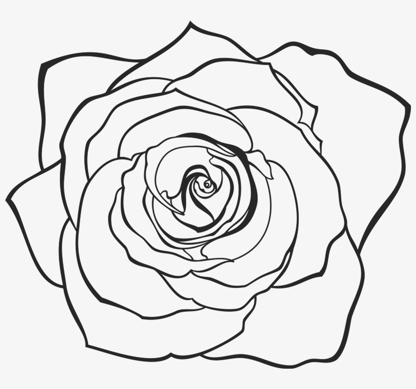 Vector Transparent Library Rose Rubber Flower Leaf - Floribunda, transparent png