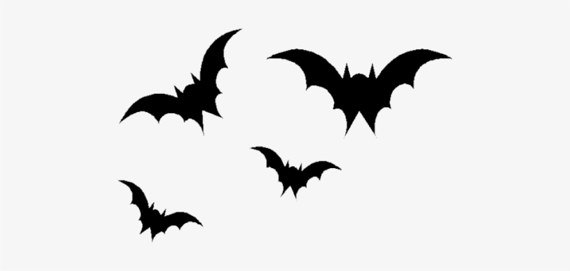 Royalty Free Bat Png Image Silhouettes Pinterest And - Bat Transparent, transparent png
