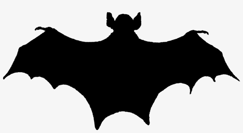 Scary Halloween Bat Silhouette Images - Bat Silhouette, transparent png