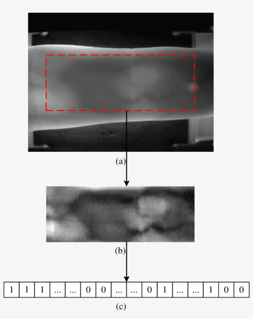 An Example Of A Finger Vein Image, Original Finger - Medical Radiography, transparent png