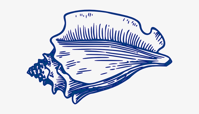 Conch Shell Svg Clip Arts 600 X 391 Px, transparent png