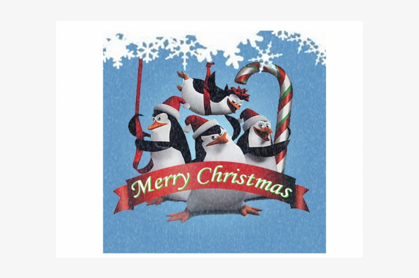 Penguins Of Madagascar Christmas, transparent png