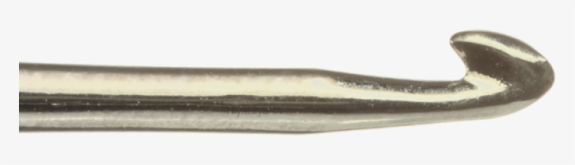 Slender Blind Snake, transparent png