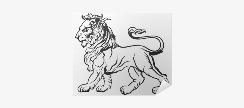 Lion, transparent png