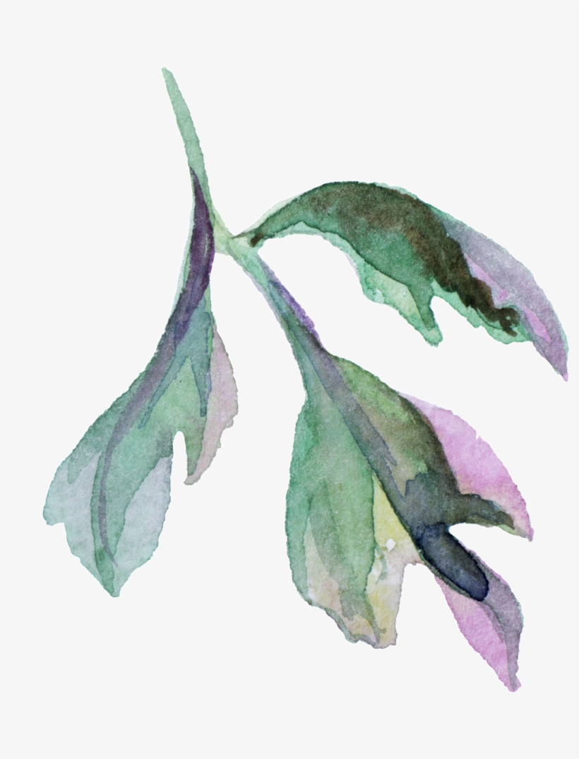 Watercolor Flower Leaf Cartoon Png Transparente - Foral Journal: Blank Notebook Diary Log [book], transparent png