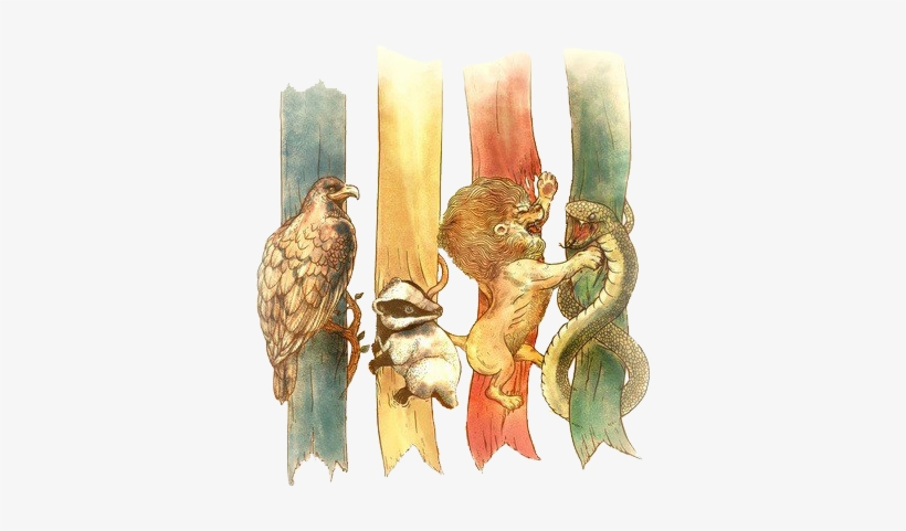 [font=times New Roman][size=9pt] - Backgrounds Tumblr Harry Potter, transparent png