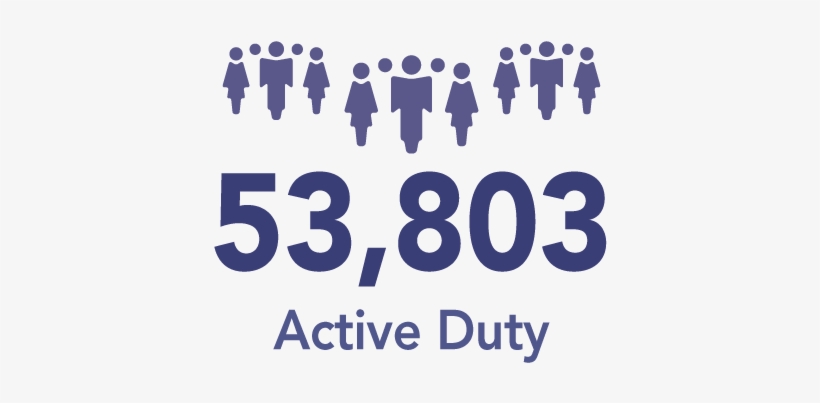 Duty Service Members, Defense Civilians, Military Dependents - Hawaii, transparent png