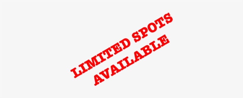 Limited Spotsadmin2018 02 12t02 - Heart Koala Designs Square Sticker 3" X 3", transparent png