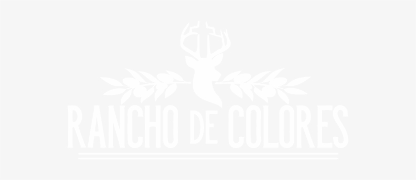 Welcome To Rancho De Colores Central Texas' Premier - School Residence "rancho Colors Jerez", transparent png