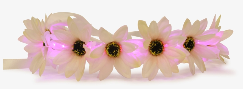 Rainbow Flower Crown Png - Flower Head Band Png, transparent png