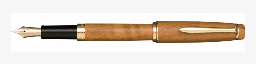 More Views - Sailor Pen Ebony Standard Fine Print 10-2543-220 (japan, transparent png