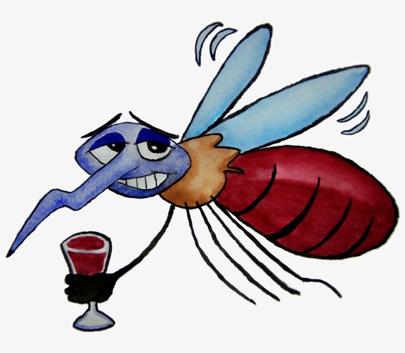 Mosquito Cocktail - Mosquito Cartoon Png, transparent png