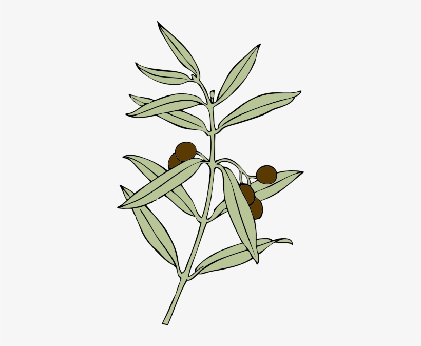 How To Set Use Olive Branch Clipart, transparent png
