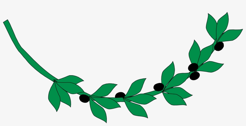 Medium Image - Olive Branch Clip Art, transparent png