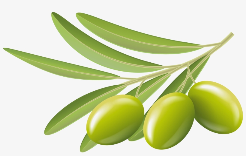 Green Olives Transparent Clip Art Image - Olives Clipart, transparent png