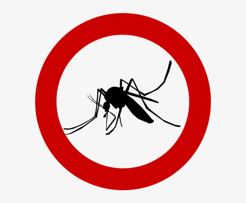 Mosquito-1465063 420 - Defend Natural And Deet Free Waterproof Insect, transparent png