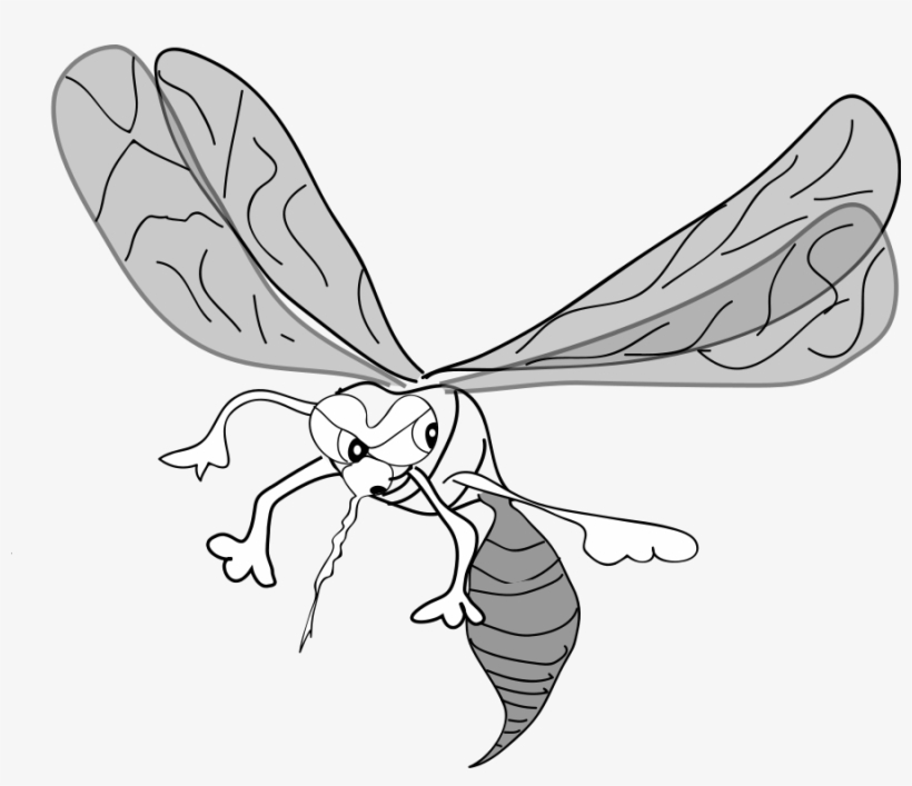 How To Set Use Freehand Mosquito Clipart, transparent png