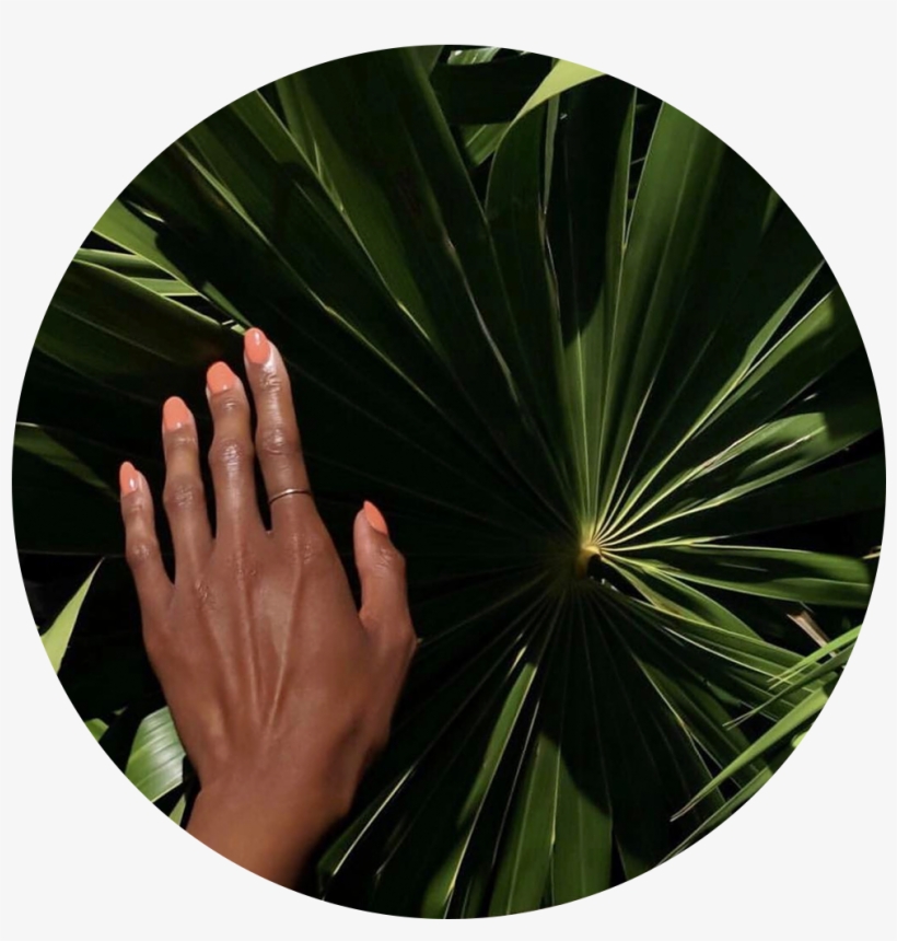 Saintlo-feature - Circle, transparent png