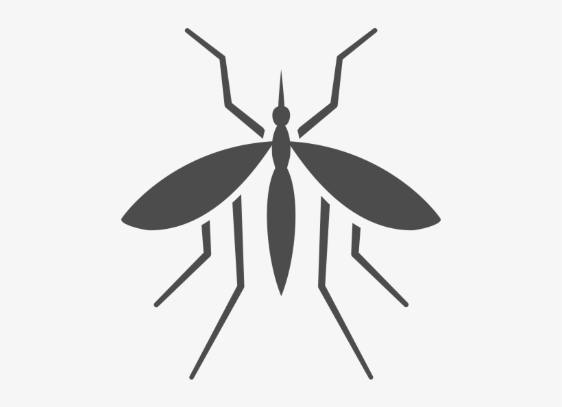 Get Mosquito Control Nashville, Tn - Mosquito Png White, transparent png