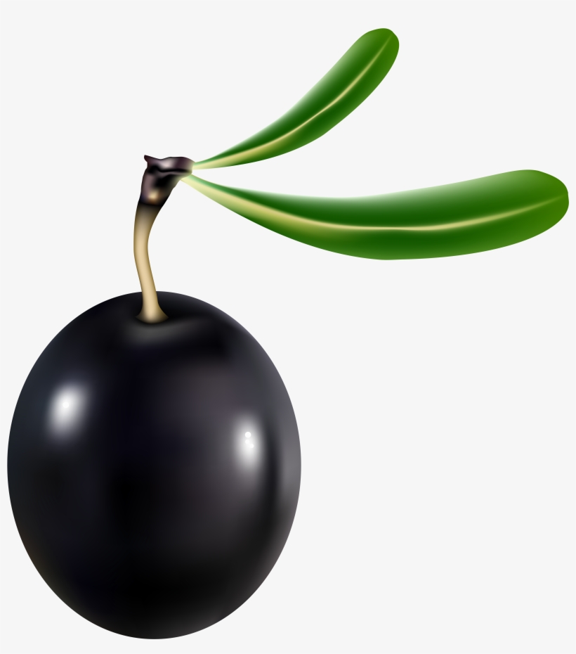 Black Olive Png, transparent png
