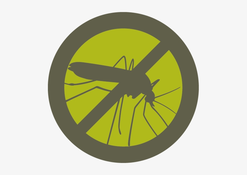 What You Don't Know Could Hurt You - No Mosquito In Iceland, transparent png