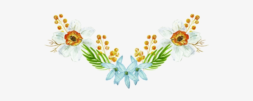 Clipart Free Chamomile Drawing Watercolor - Hand Drawn Floral Ornament Png, transparent png