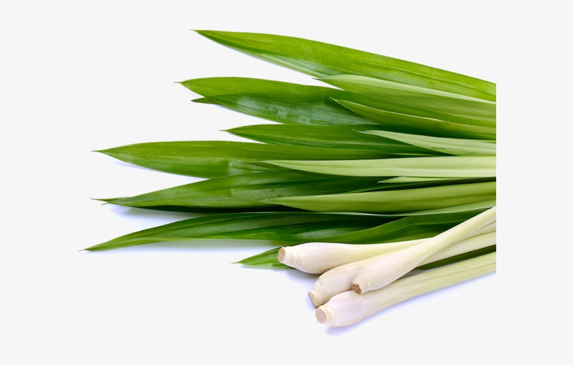 Lemongrass Png, transparent png