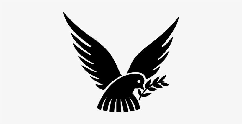 Animal Bird Branch Dove Friendship Olive P - Logo Merpati, transparent png