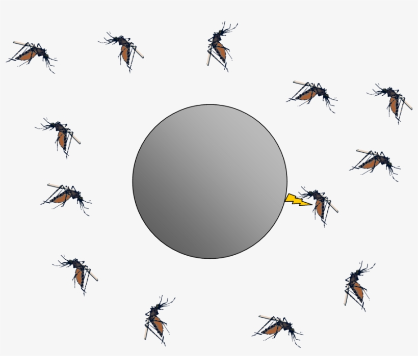 It - Fly Mosquito Png, transparent png