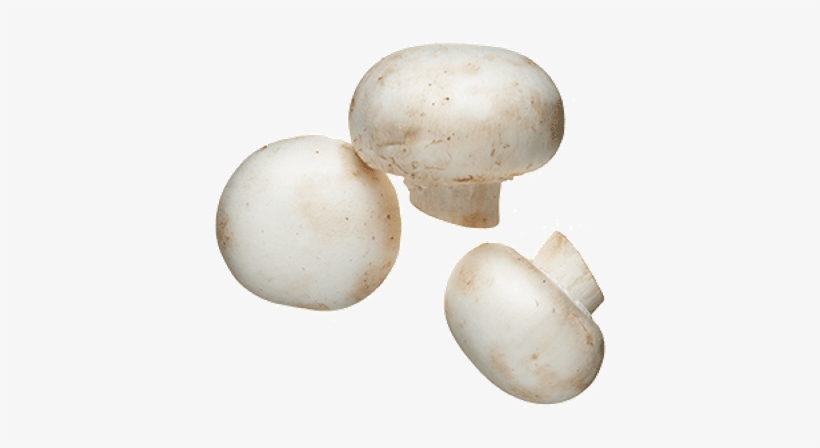 White Mushrooms, transparent png