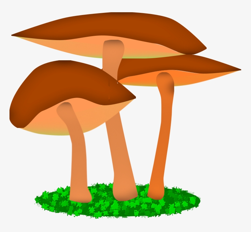 Illustration Friday - “mushroom”, transparent png