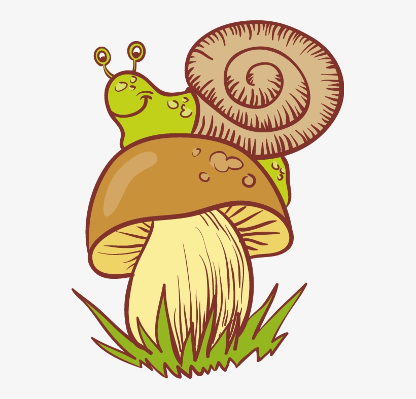 Snails And Mushrooms - Snail, transparent png