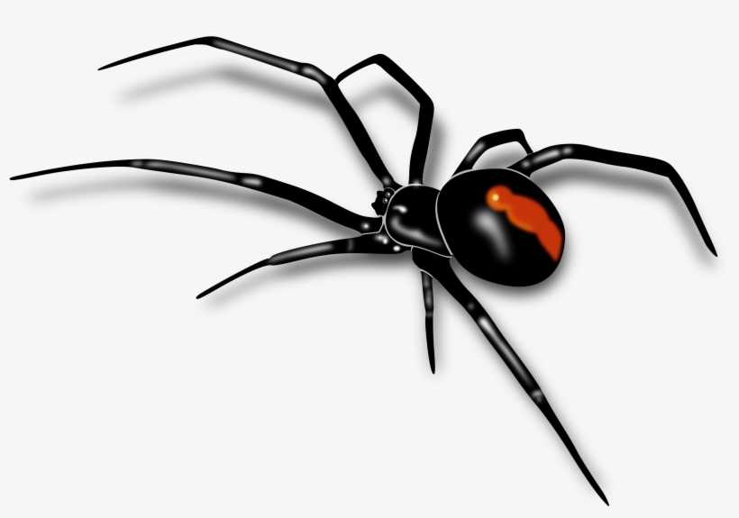 Mosquito Clipart Spider Insect - Transparent Background Spider Png, transparent png