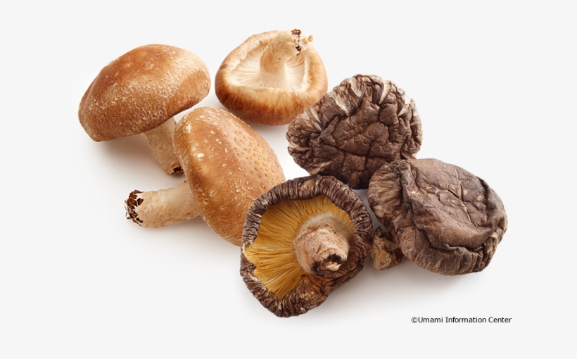 Shiitake Mushroom - Shiitake Mushroom Png, transparent png