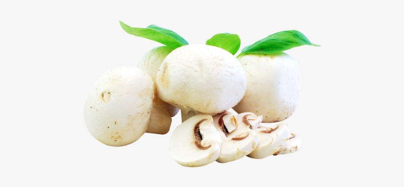 Download Fresh Mushrooms Png Image - Mushrooms Food Png, transparent png