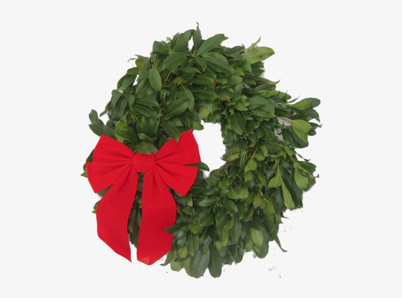 Mountain Laurel Wreath - Southwick, transparent png