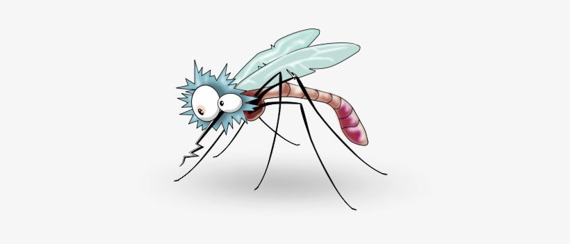 Mosquito Animado Png, transparent png