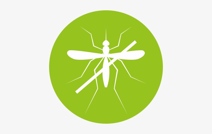 Mosquito Control - Mosquito, transparent png