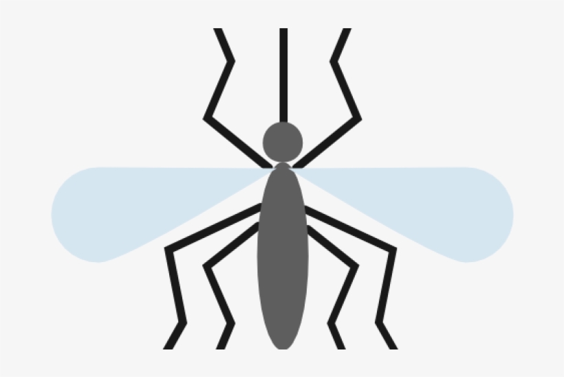 Mosquito Itok=pxbzx5pw - Mosquito Icon, transparent png