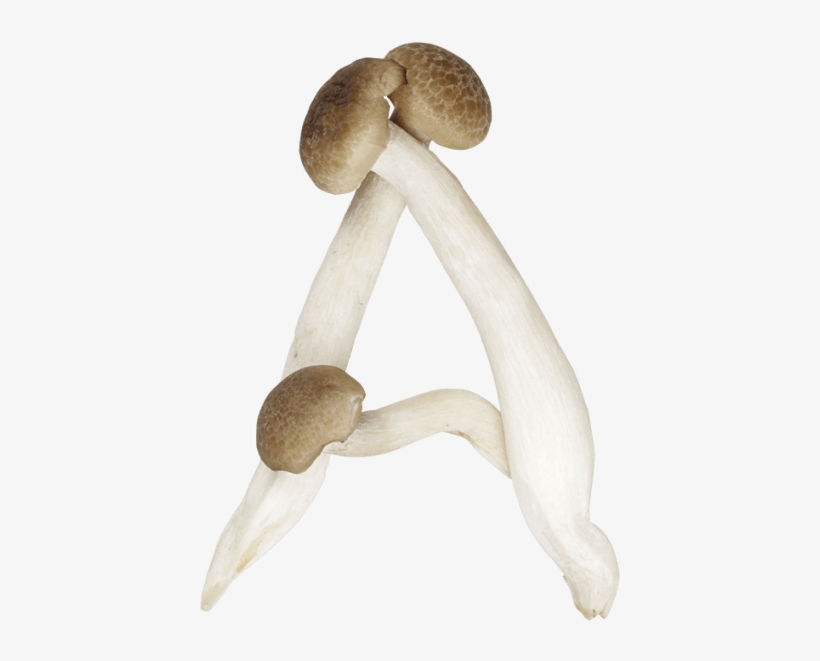 Mushrooms Font - Mushroom Letters, transparent png