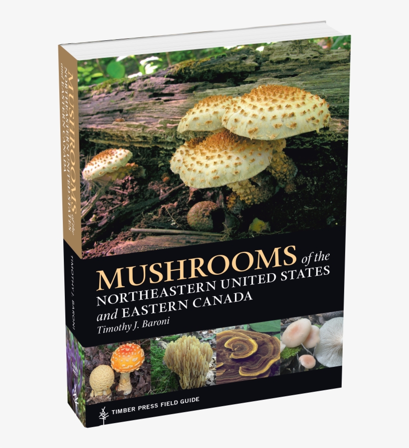 Mushrooms Of The Northeastern United States And Eastern - Mushrooms Of The Northeast: Timber Press Field Guide, transparent png